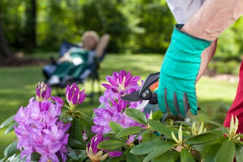 Curb appeal transformation with landscaping in Upminster